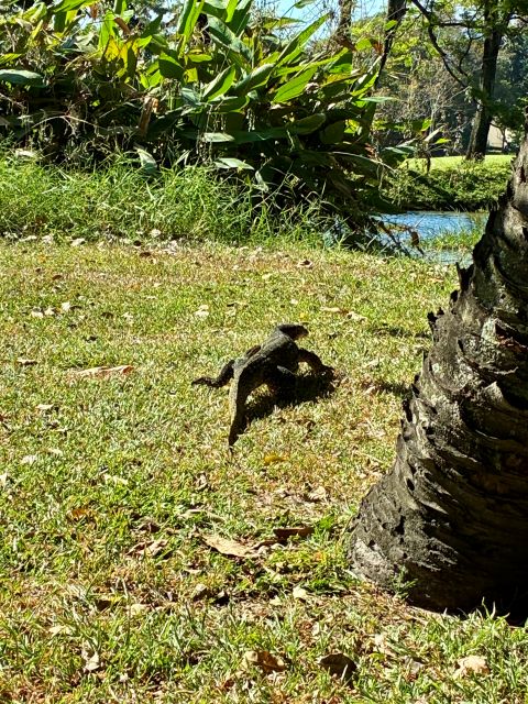 Thana City Country Club4