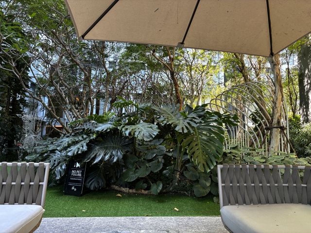 �z�e������