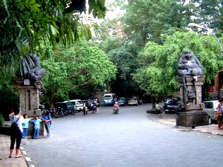 Ubud1