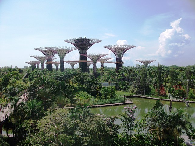 Singapore6