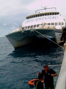 Great Barrier Reef1