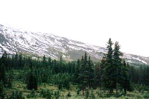 Canadian Rocky2