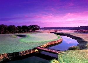 Grand Cypress Golf Course