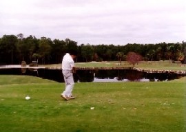 Lake Buena Vista Course