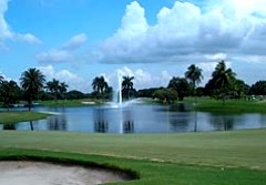 Blue Course view