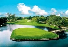 Gold Course view