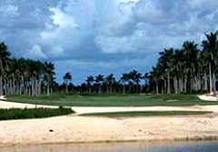 Great White Course view