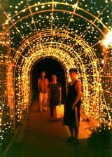 Saipan ̊X