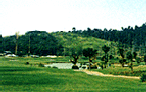 Monterez Golf Course