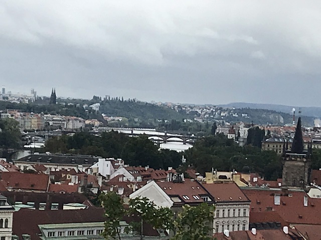 vni