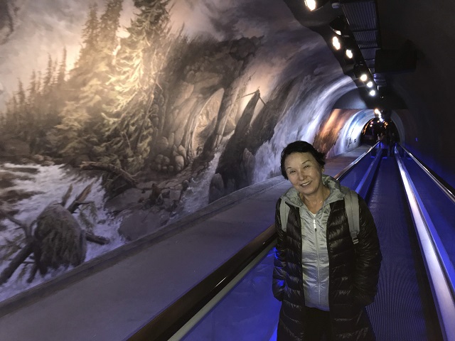 ACXEpX1