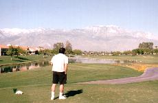 Parm Springs