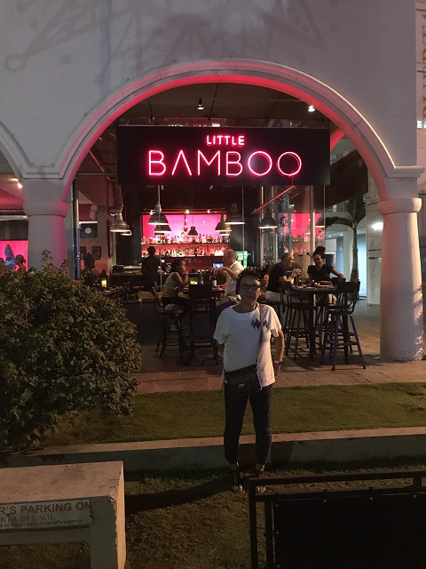 aH BamBoo