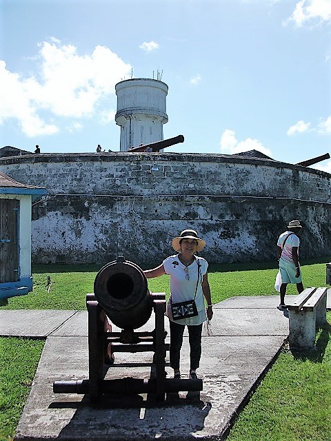 Fort FinCastle4