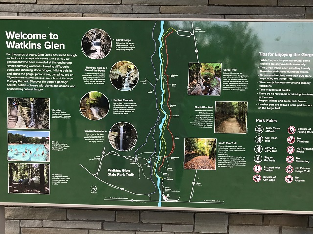 gLX1