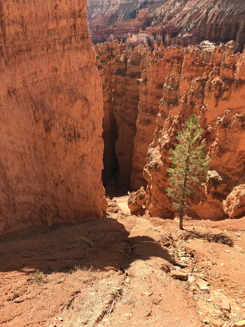 uCXSunset Point4