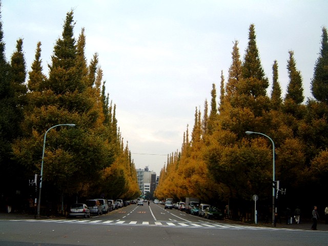 REOŐǕ2