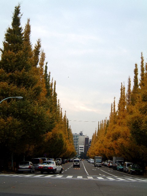REOŐǕ3