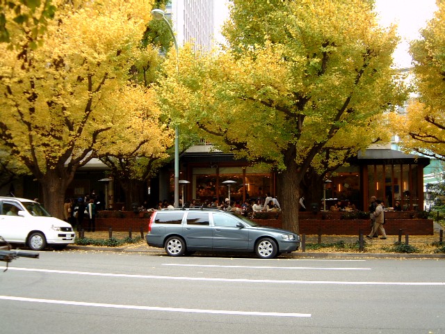 uZvi2