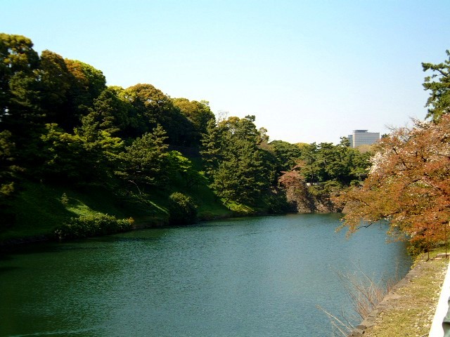 dt2