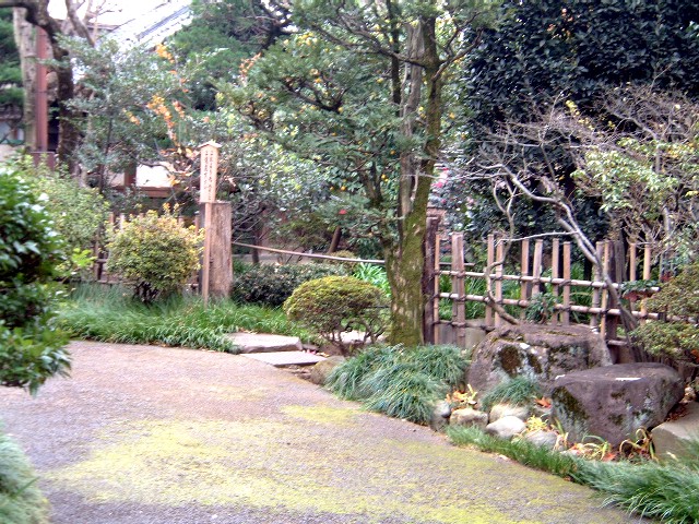 ㊯~6