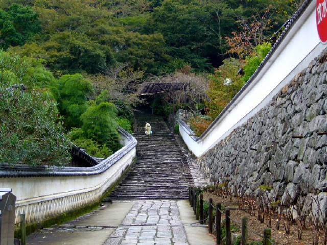 JΏ̊Ki