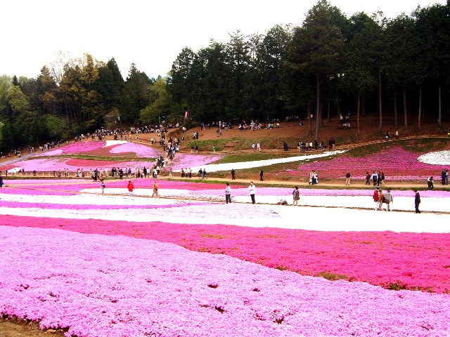 ō3