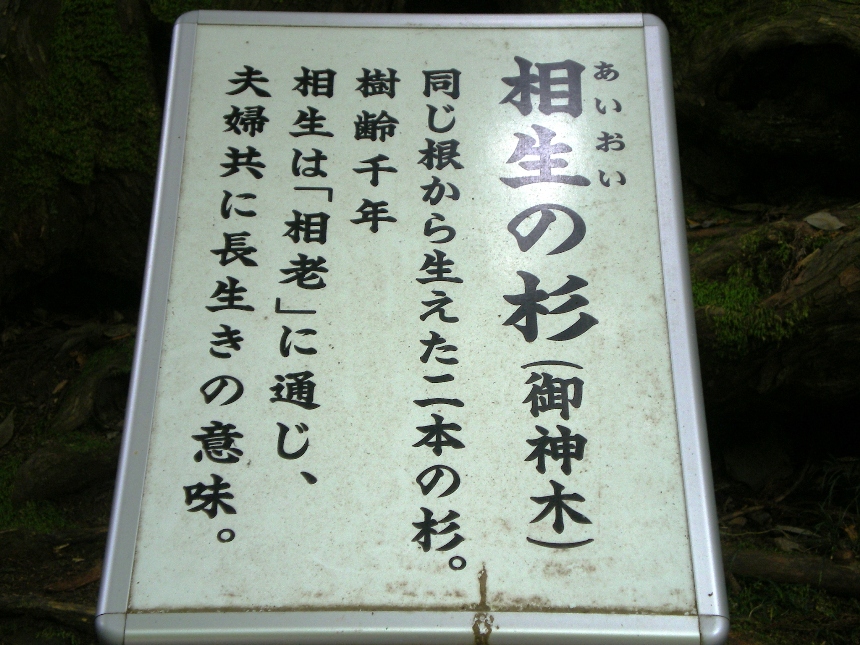 ̐1