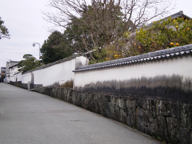 鉺3