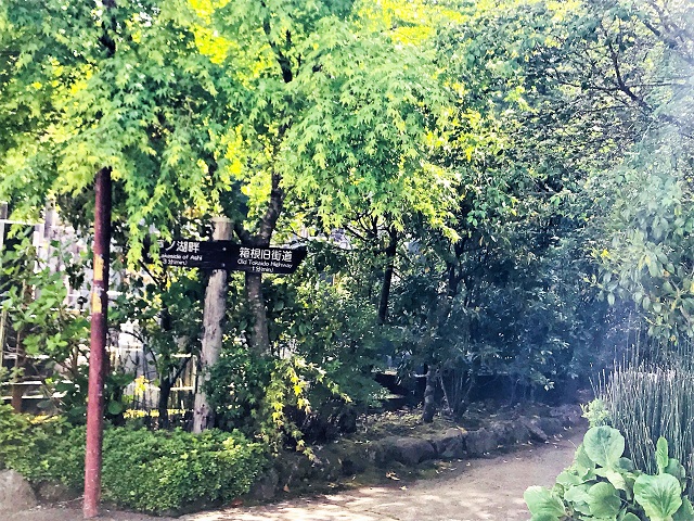 H1