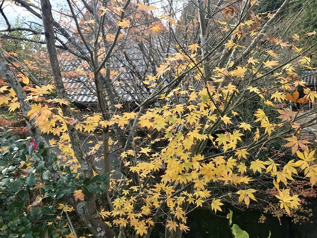 匴2