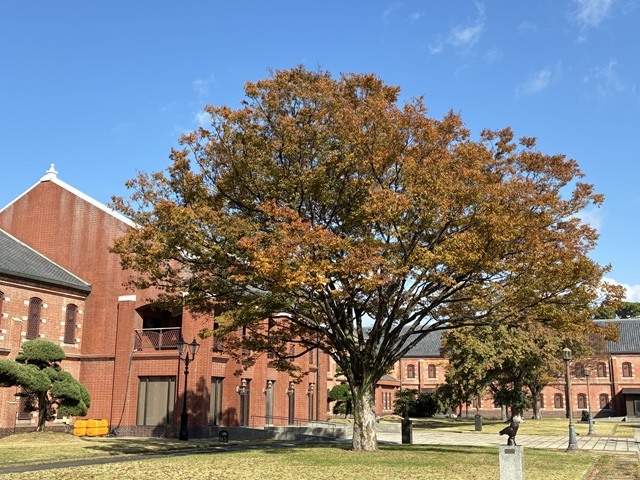 �P�H�s�����p��