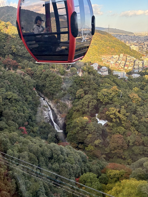 �_�˕z���n�[�u��1