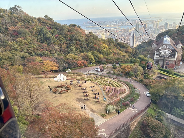 �_�˕z���n�[�u��2