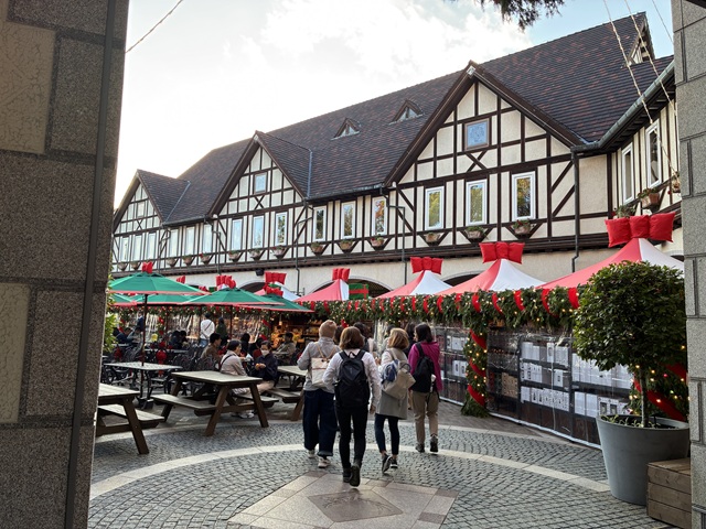 �_�˕z���n�[�u��4