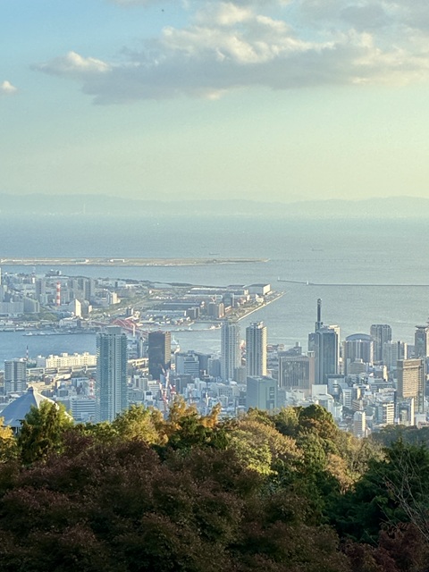 �_�˕z���n�[�u��5