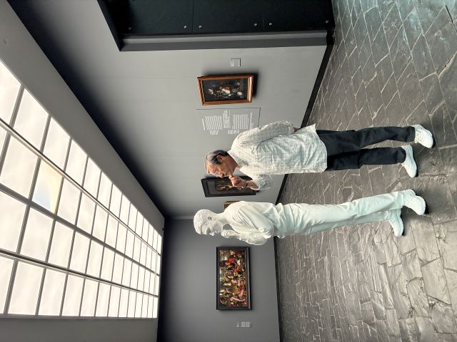 �V���e�[�f�����p��4