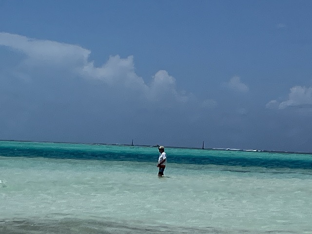 BoraBoravCx[gr[`2