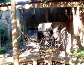 Plantation 3