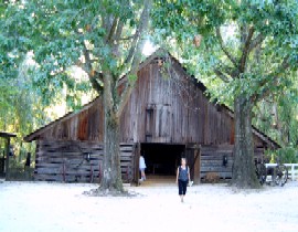 Plantation 4