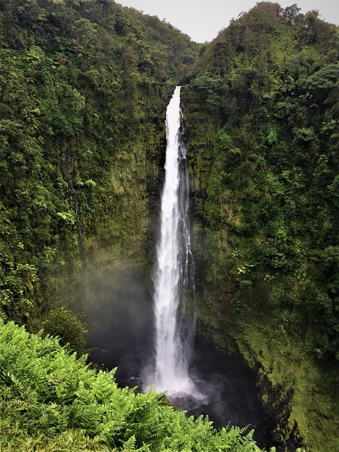 Akaka Falls3