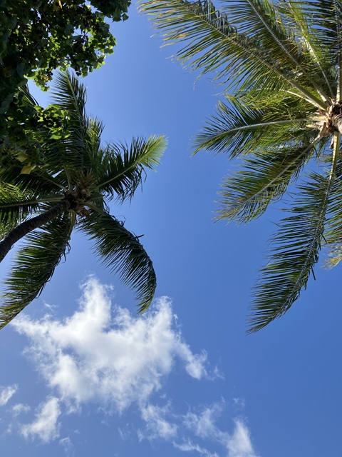 Ala Moana Regional Park2